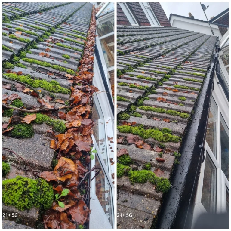 Gutter Cleaning Services London