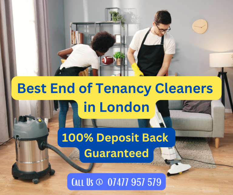 professional end of tenancy cleaning london