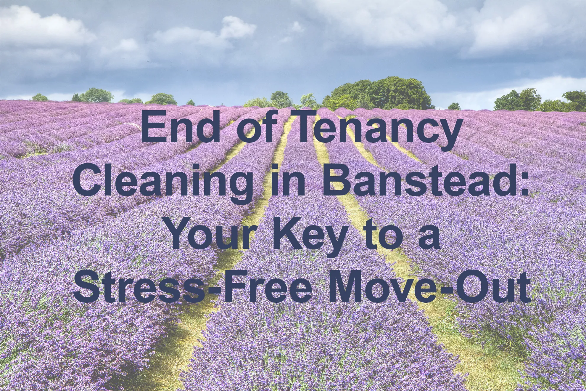 End of Tenancy Cleaning in Banstead: Your Key to a Stress-Free Move-Out ...